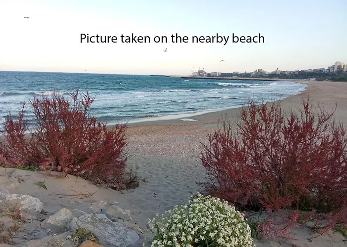 Budget-friendly 2br Near The Sea - Smart Layout For Privacy コンスタンツァ